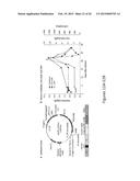 Compositions for Treatment of Cancer diagram and image
