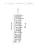 COMPOSITIONS AND METHODS FOR MODULATING RNA diagram and image