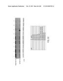 COMPOSITIONS AND METHODS FOR MODULATING RNA diagram and image