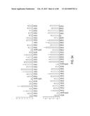 COMPOSITIONS AND METHODS FOR MODULATING RNA diagram and image