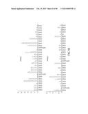 COMPOSITIONS AND METHODS FOR MODULATING RNA diagram and image