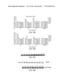 COMPOSITIONS AND METHODS FOR MODULATING RNA diagram and image