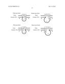 METHOD FOR IDENTIFICATION AND DETECTION OF MUTANT GENE USING INTERCALATOR diagram and image