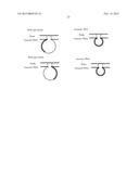 METHOD FOR IDENTIFICATION AND DETECTION OF MUTANT GENE USING INTERCALATOR diagram and image