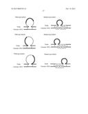 METHOD FOR IDENTIFICATION AND DETECTION OF MUTANT GENE USING INTERCALATOR diagram and image