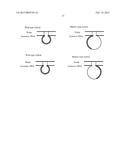 METHOD FOR IDENTIFICATION AND DETECTION OF MUTANT GENE USING INTERCALATOR diagram and image