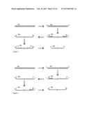 METHODS FOR NON-INVASIVE PRENATAL PLOIDY CALLING diagram and image