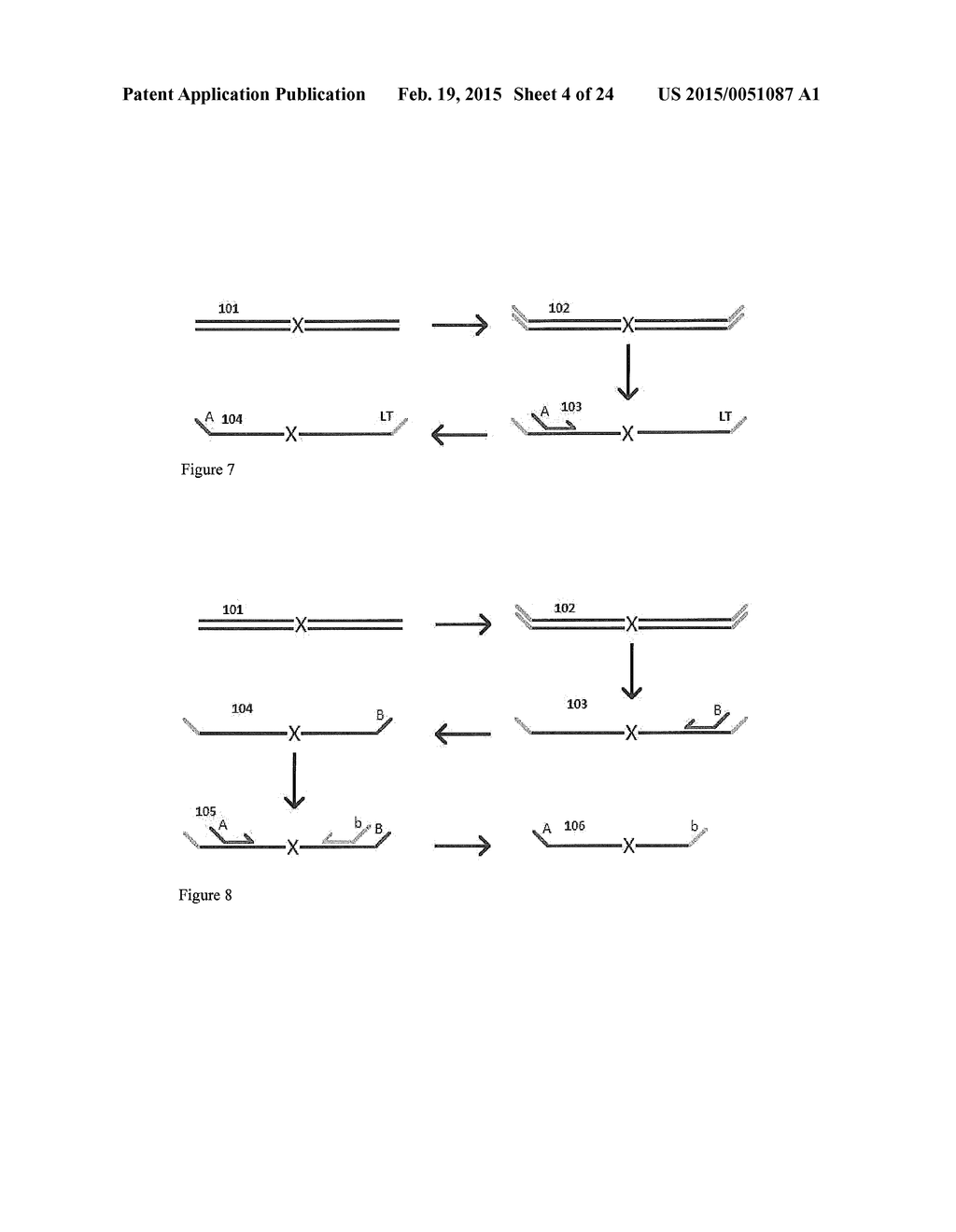 METHODS FOR NON-INVASIVE PRENATAL PLOIDY CALLING - diagram, schematic, and image 05