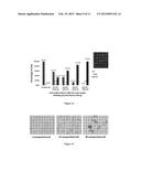 MULTIFUNCTIONAL NANOPARTICLES FOR MOLECULAR AND CELLULAR SEPARATION,     DETECTION AND QUANTIFICATION diagram and image