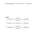 COMBINATION THERAPY FOR TREATING CANCER diagram and image