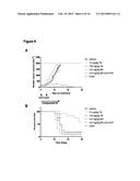 COMBINATION THERAPY FOR TREATING CANCER diagram and image