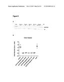 COMBINATION THERAPY FOR TREATING CANCER diagram and image