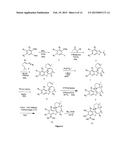 BORONIC ACID BEARING LIPHAGANE COMPOUNDS AS INHIBITORS OF P13K- a AND/OR B diagram and image