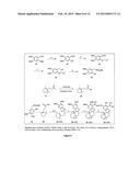 BORONIC ACID BEARING LIPHAGANE COMPOUNDS AS INHIBITORS OF P13K- a AND/OR B diagram and image