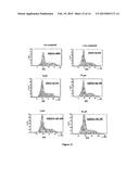 BORONIC ACID BEARING LIPHAGANE COMPOUNDS AS INHIBITORS OF P13K- a AND/OR B diagram and image