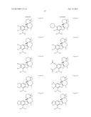 BORONIC ACID BEARING LIPHAGANE COMPOUNDS AS INHIBITORS OF P13K- a AND/OR B diagram and image