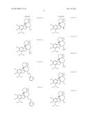 BORONIC ACID BEARING LIPHAGANE COMPOUNDS AS INHIBITORS OF P13K- a AND/OR B diagram and image