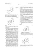 BORONIC ACID BEARING LIPHAGANE COMPOUNDS AS INHIBITORS OF P13K- a AND/OR B diagram and image