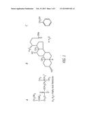 METHODS AND RELATED COMPOSITIONS FOR REDUCTION OF FAT AND SKIN TIGHTENING diagram and image