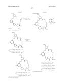 CONFORMATIONALLY CONSTRAINED, FULLY SYNTHETIC MACROCYCLIC COMPOUNDS diagram and image