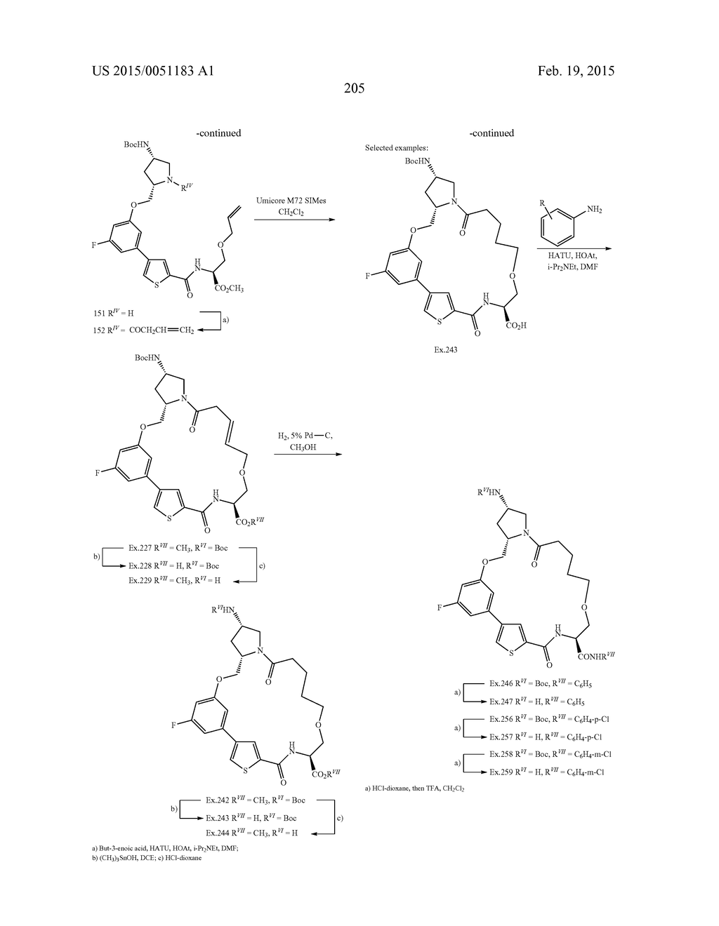 CONFORMATIONALLY CONSTRAINED, FULLY SYNTHETIC MACROCYCLIC COMPOUNDS - diagram, schematic, and image 206