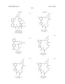 CONFORMATIONALLY CONSTRAINED, FULLY SYNTHETIC MACROCYCLIC COMPOUNDS diagram and image