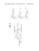 PI-kinase Inhibitors with Broad Spectrum Anti-Infective Activity diagram and image