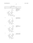 TRIAZOLE DERIVATIVES AS HSP90 INHIBITORS diagram and image