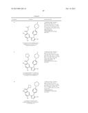 TRIAZOLE DERIVATIVES AS HSP90 INHIBITORS diagram and image