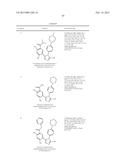 TRIAZOLE DERIVATIVES AS HSP90 INHIBITORS diagram and image