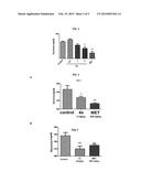 COMPOUNDS FOR TREATMENT OF METABOLIC SYNDROME diagram and image