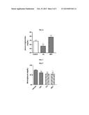 COMPOUNDS FOR TREATMENT OF METABOLIC SYNDROME diagram and image