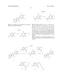 PYRIDINONES diagram and image