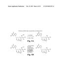 VALOMACICLOVIR POLYMORPHS diagram and image