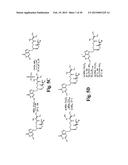 VALOMACICLOVIR POLYMORPHS diagram and image