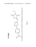 METHODS AND COMPOSITIONS FOR TREATMENT OF FIBROSIS diagram and image