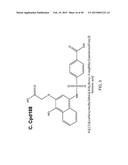 METHODS AND COMPOSITIONS FOR TREATMENT OF FIBROSIS diagram and image