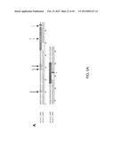 METHODS AND COMPOSITIONS FOR TREATMENT OF FIBROSIS diagram and image