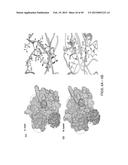 METHODS AND COMPOSITIONS FOR TREATMENT OF FIBROSIS diagram and image