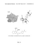 METHODS AND COMPOSITIONS FOR TREATMENT OF FIBROSIS diagram and image