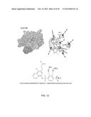 METHODS AND COMPOSITIONS FOR TREATMENT OF FIBROSIS diagram and image