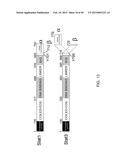 METHODS AND COMPOSITIONS FOR TREATMENT OF FIBROSIS diagram and image