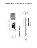 METHODS AND COMPOSITIONS FOR TREATMENT OF FIBROSIS diagram and image