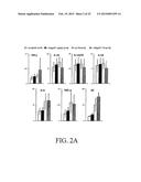 PRO-INFLAMMATORY MEDIATORS IN DIAGNOSIS AND TREATMENT OF PULMONARY DISEASE diagram and image