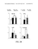 PRO-INFLAMMATORY MEDIATORS IN DIAGNOSIS AND TREATMENT OF PULMONARY DISEASE diagram and image