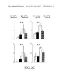 PRO-INFLAMMATORY MEDIATORS IN DIAGNOSIS AND TREATMENT OF PULMONARY DISEASE diagram and image