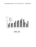 PRO-INFLAMMATORY MEDIATORS IN DIAGNOSIS AND TREATMENT OF PULMONARY DISEASE diagram and image