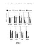 PRO-INFLAMMATORY MEDIATORS IN DIAGNOSIS AND TREATMENT OF PULMONARY DISEASE diagram and image