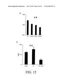 PRO-INFLAMMATORY MEDIATORS IN DIAGNOSIS AND TREATMENT OF PULMONARY DISEASE diagram and image