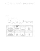 BICISTRONIC GENE TRANSFER TOOLS FOR DELIVERY OF miRNAS AND PROTEIN CODING     SEQUENCES diagram and image